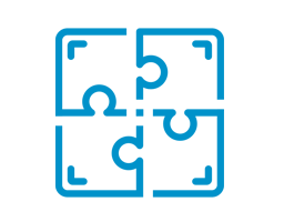 IT Projects